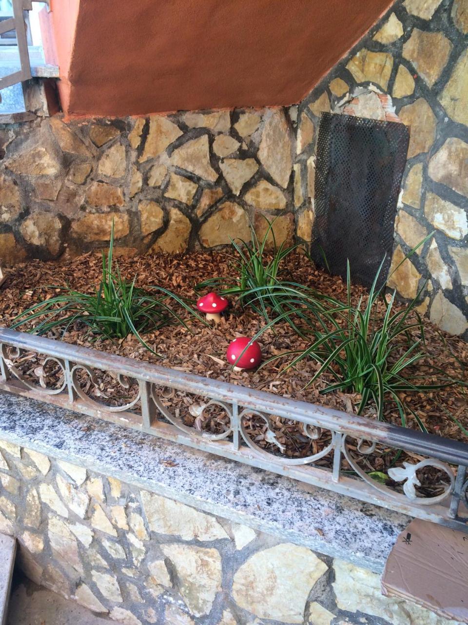Il Giramondo Busca ภายนอก รูปภาพ